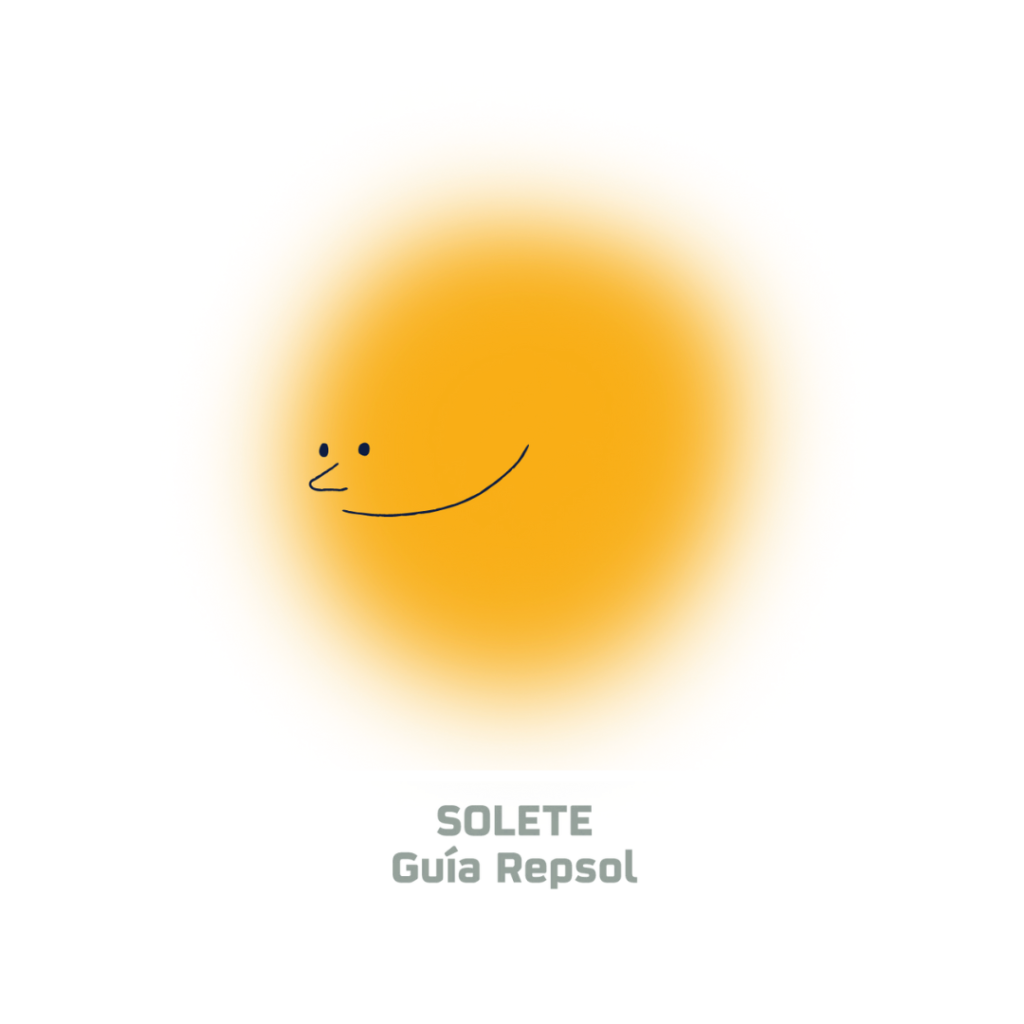 SOLETE-fondo guía respol-png
