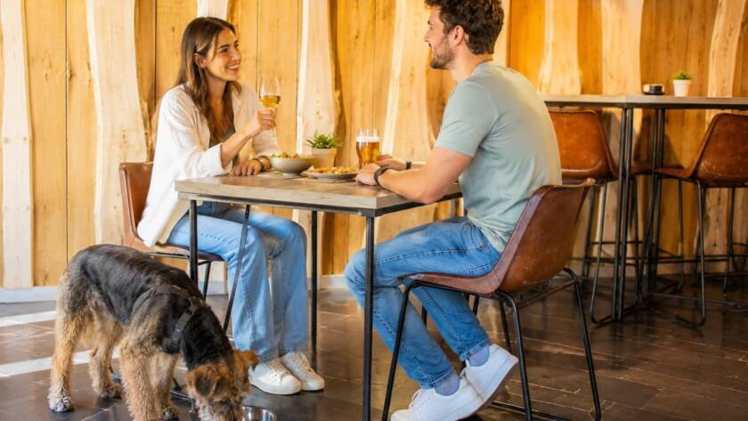 Imagen de un ambiente interior acogedor en River 1973, bar pet friendly en Salamanca, con una pareja disfrutando de comida y bebida mientras su perro descansa y bebe agua junto a la mesa.