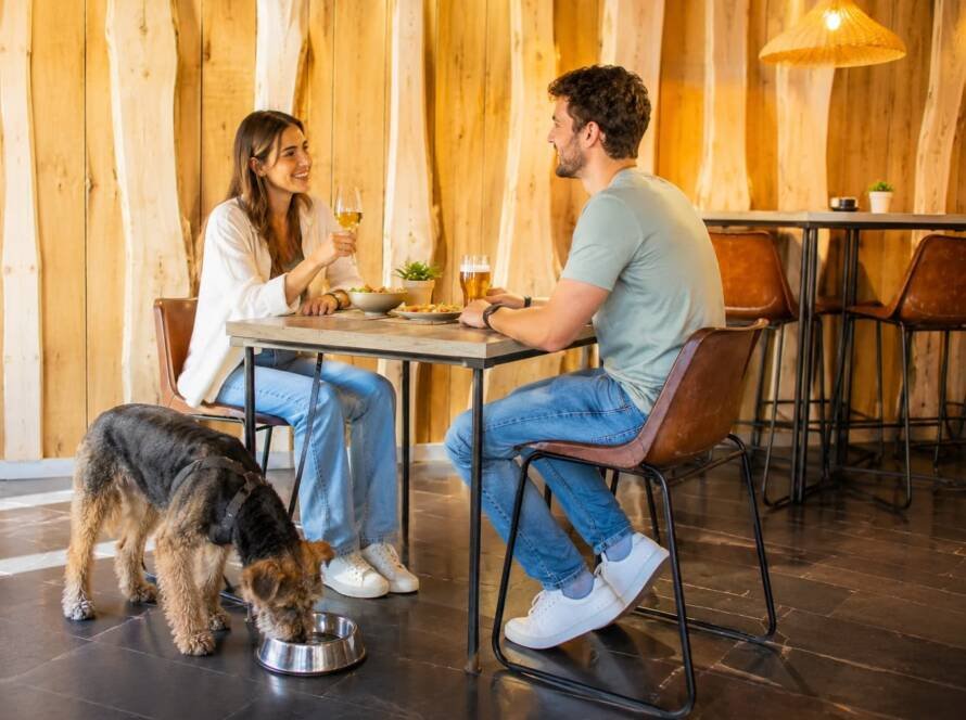 Imagen de un ambiente interior acogedor en River 1973, bar pet friendly en Salamanca, con una pareja disfrutando de comida y bebida mientras su perro descansa y bebe agua junto a la mesa.